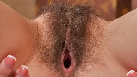 Hairy Compilations