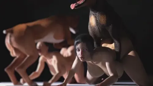 Dog Porn Compilation